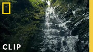 Albert Lin climbs up a treacherous waterfall in search of ancient tombs
