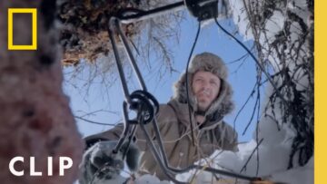 Traps on the Land (Clip) | Alaska: The Next Generation
