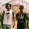 Ty Dolla $ign – Irie ft. Wiz Khalifa [Official Music Video]