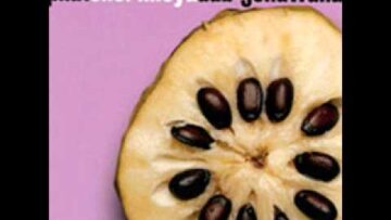 [ID: 6_17HHCX5cE] Youtube Automatic