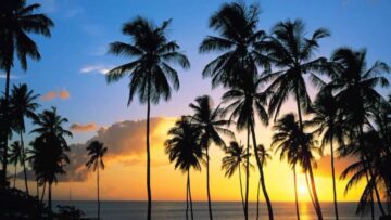 [ID: fDN6XlawEOU] Youtube Automatic