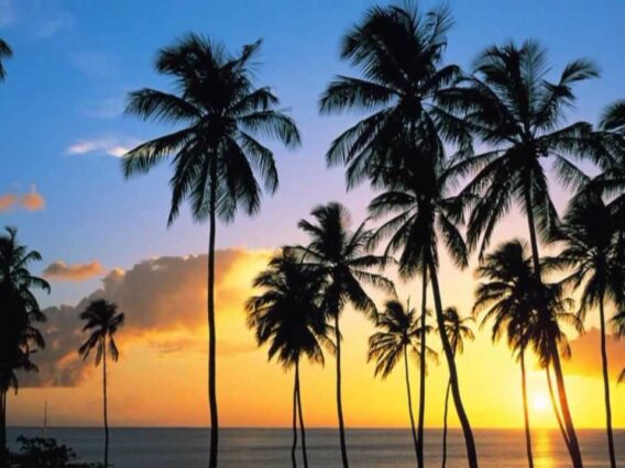 [ID: fDN6XlawEOU] Youtube Automatic