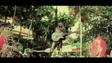 [ID: M-SUT4ddfuo] Youtube Automatic