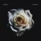 [ID: GVAIzyXJk4U] Youtube Automatic