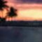 [ID: q8AdK1Kfyvo] Youtube Automatic